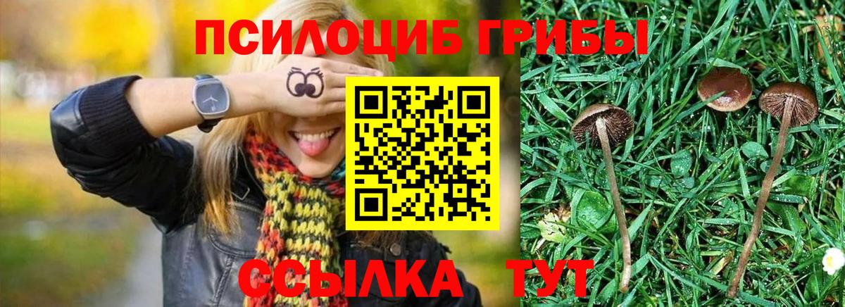Псилоцибиновые грибы Magic Shrooms Еманжелинск
